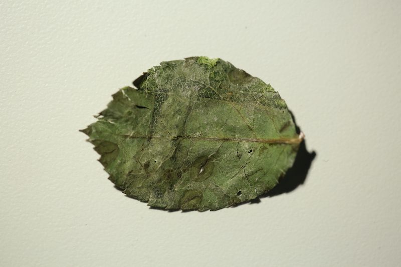 6J3C7546