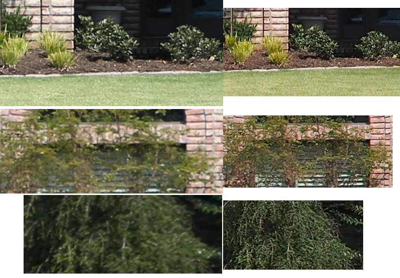 housecrops