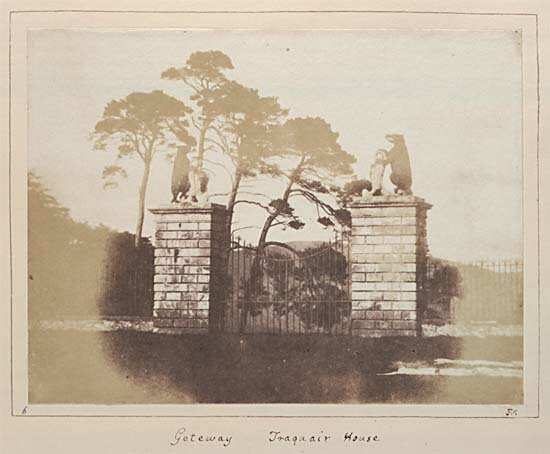 calotype01-715340