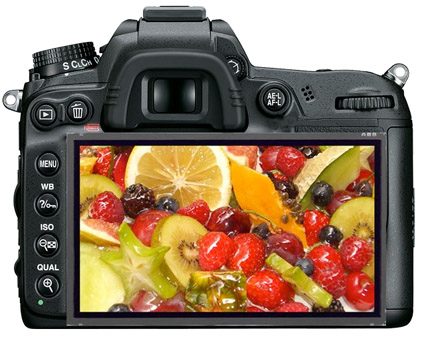mycamback