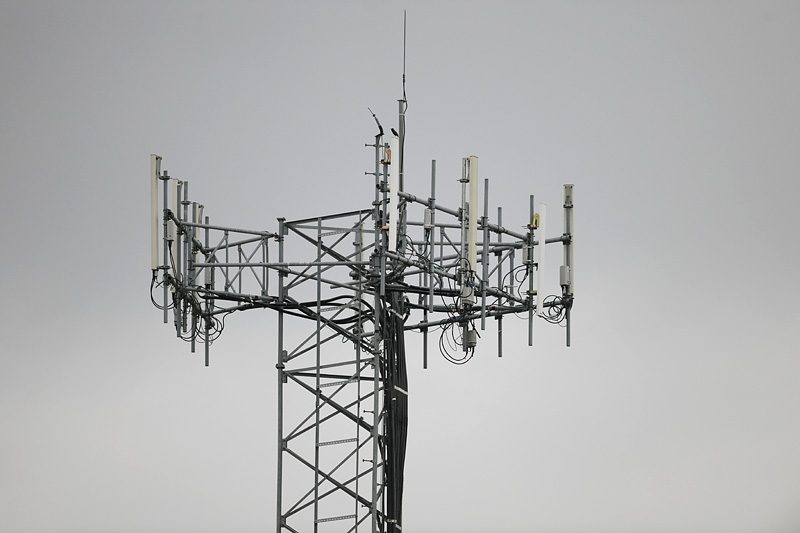 tower600