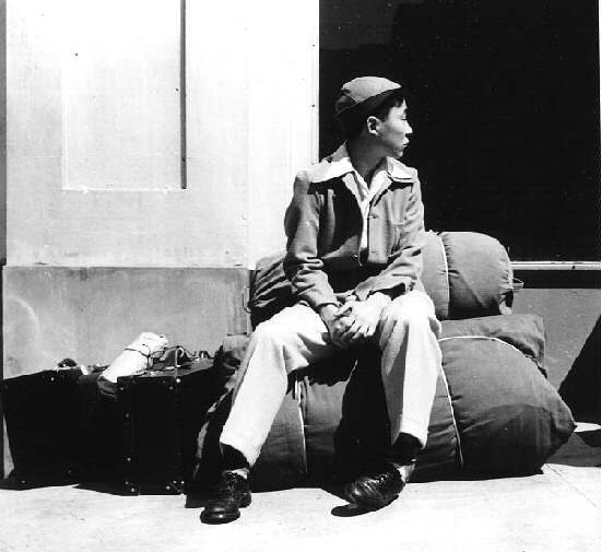 Lange photo