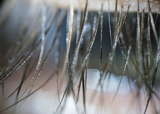 Macro-Photography-Eyelashes-LensRentals-small