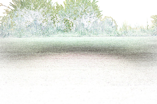 grassfocus1