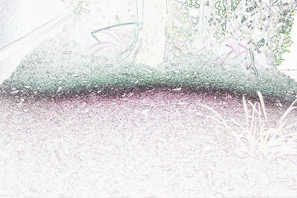 mulch