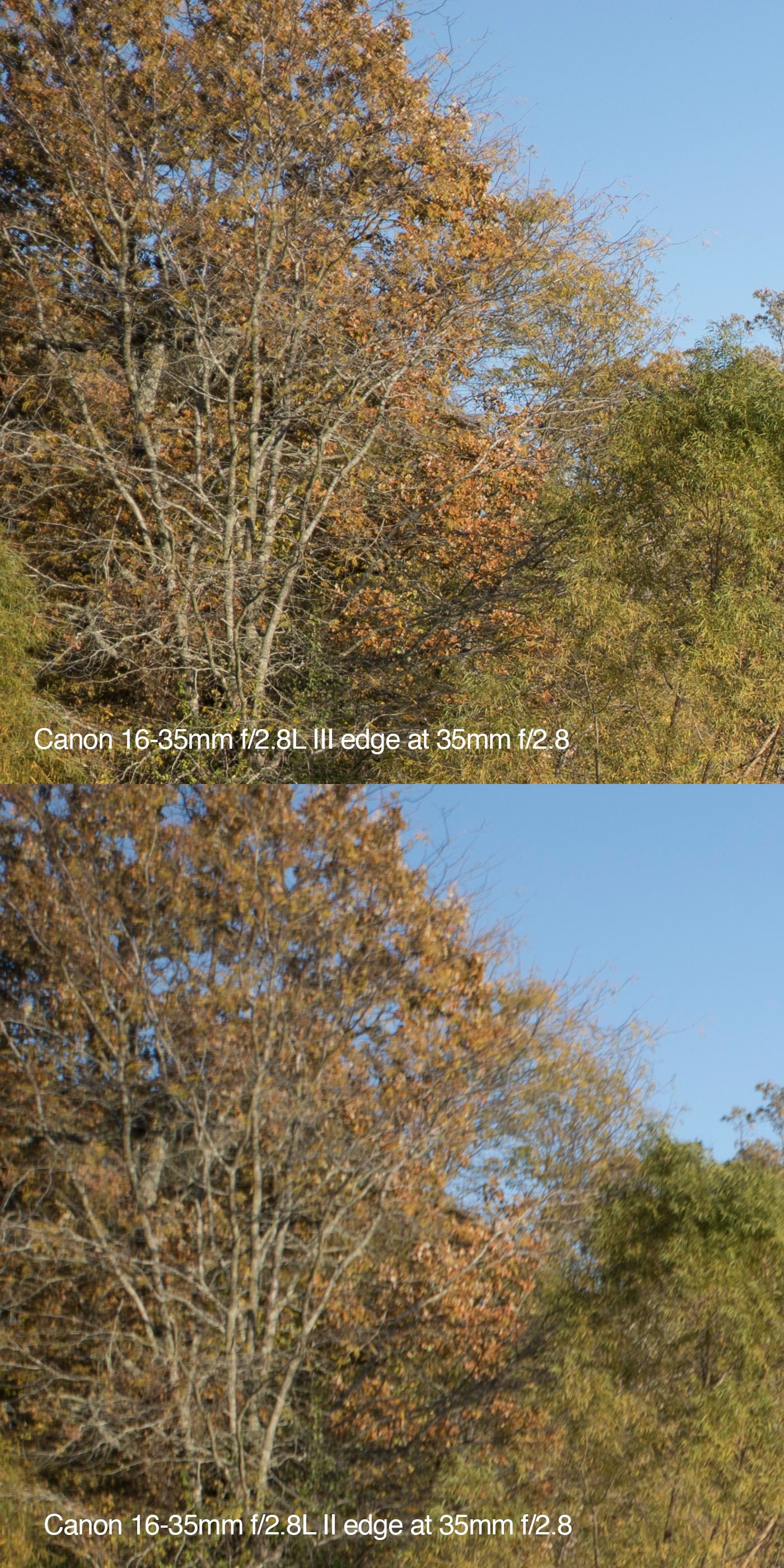 edge-crops-35