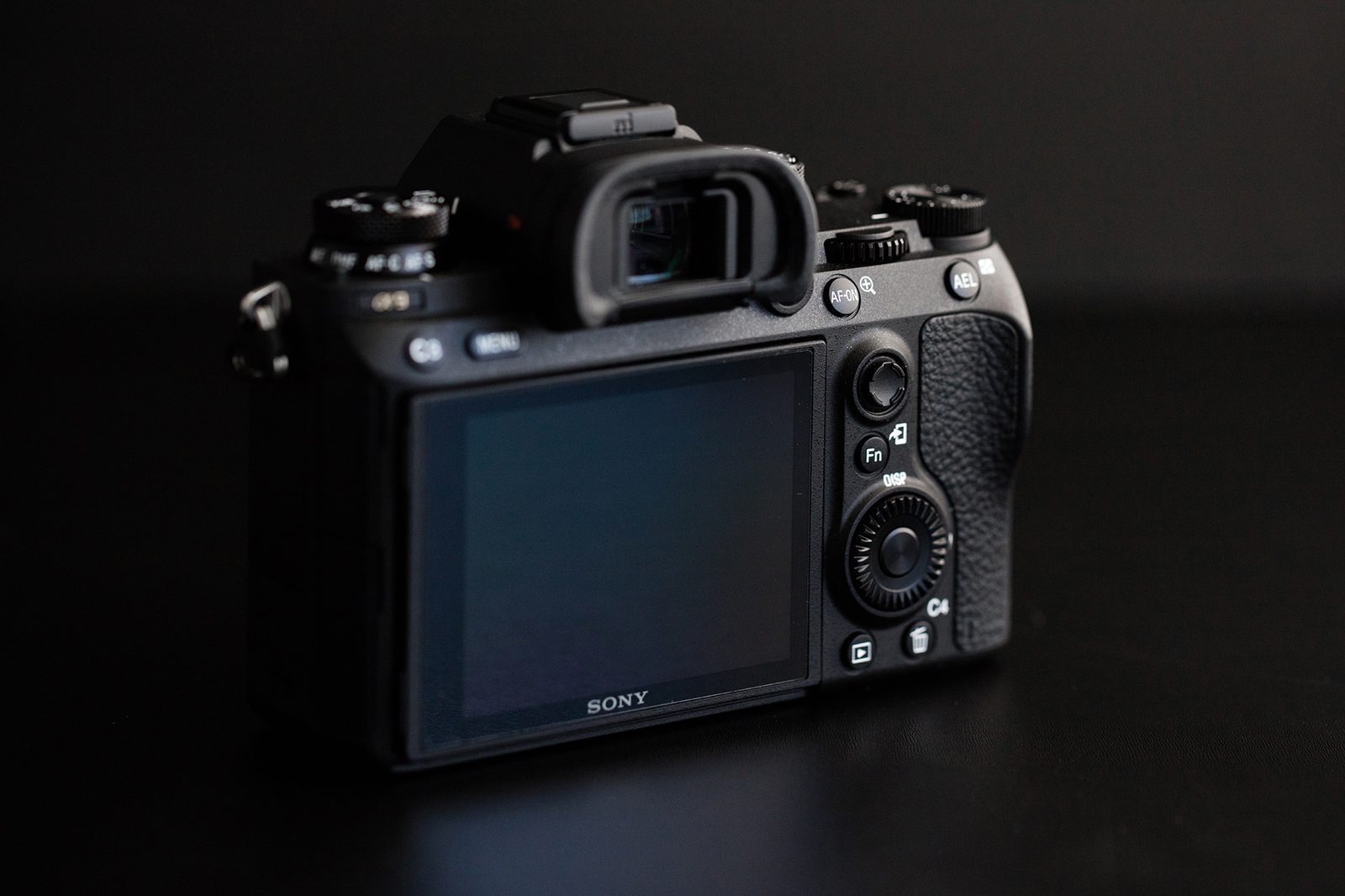 Sony a9 Example Photos