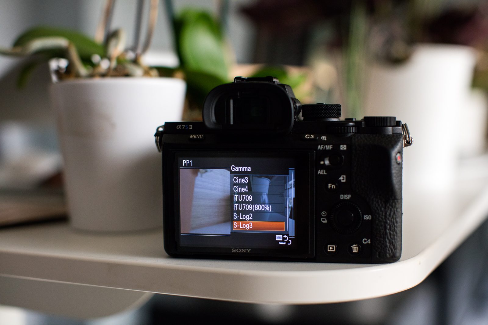 Understanding S Log Video Format