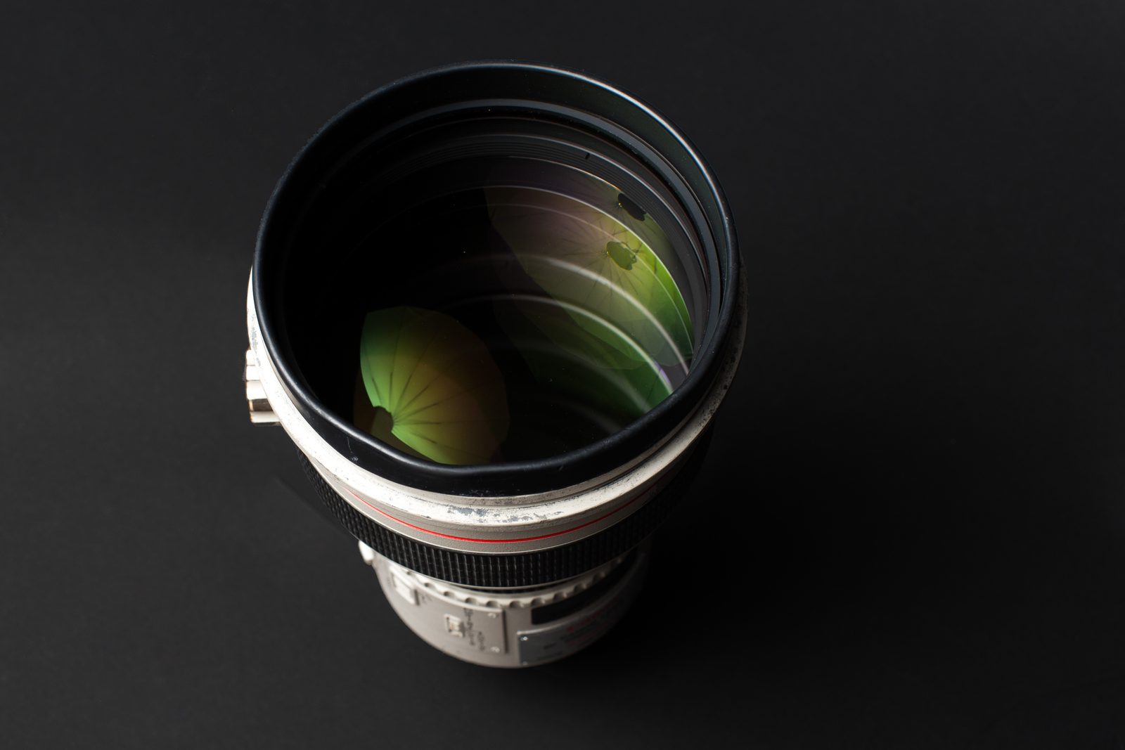 Canon 200mm f/1.8L Lens