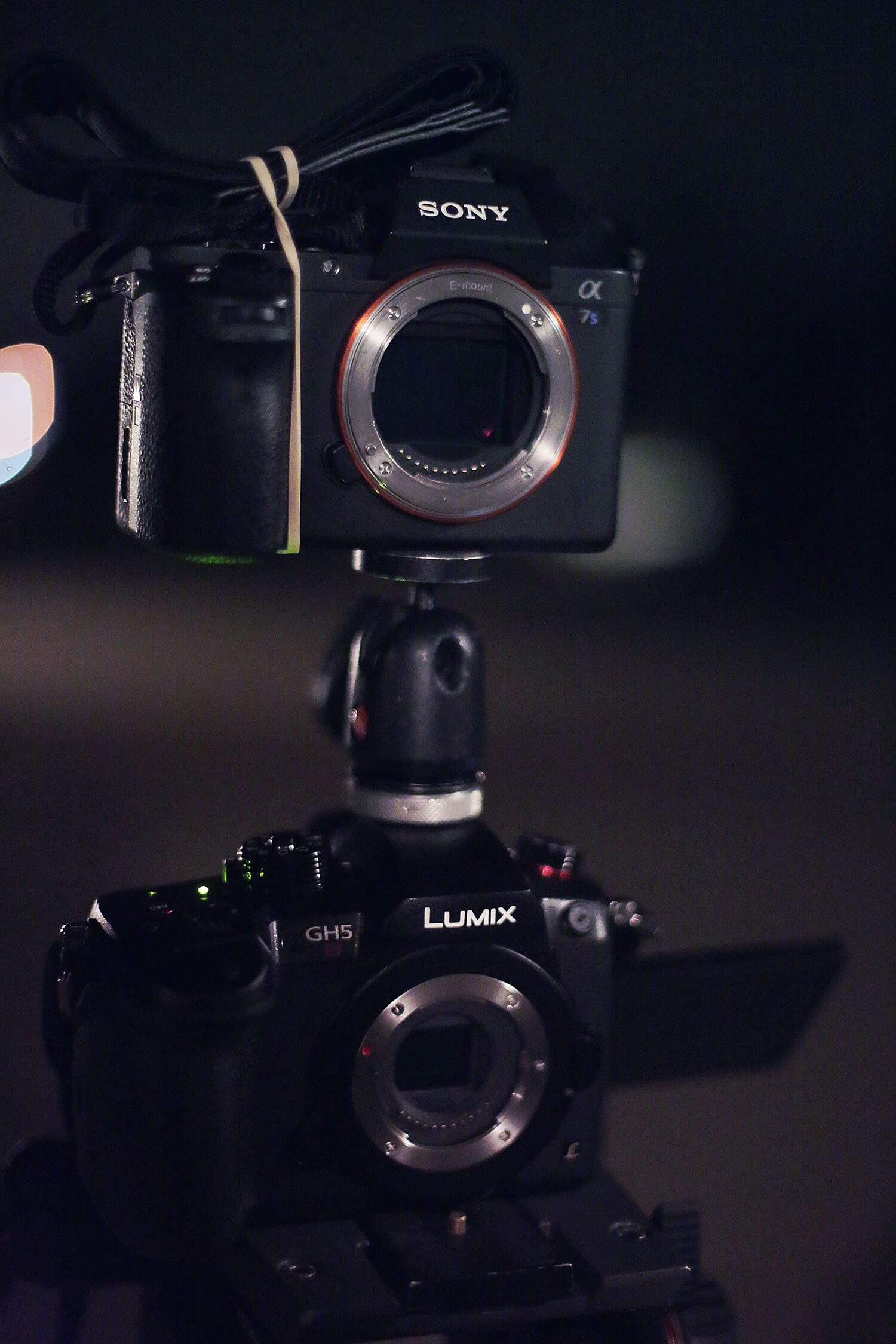 Low Light Comparison GH5s Sony a7sII