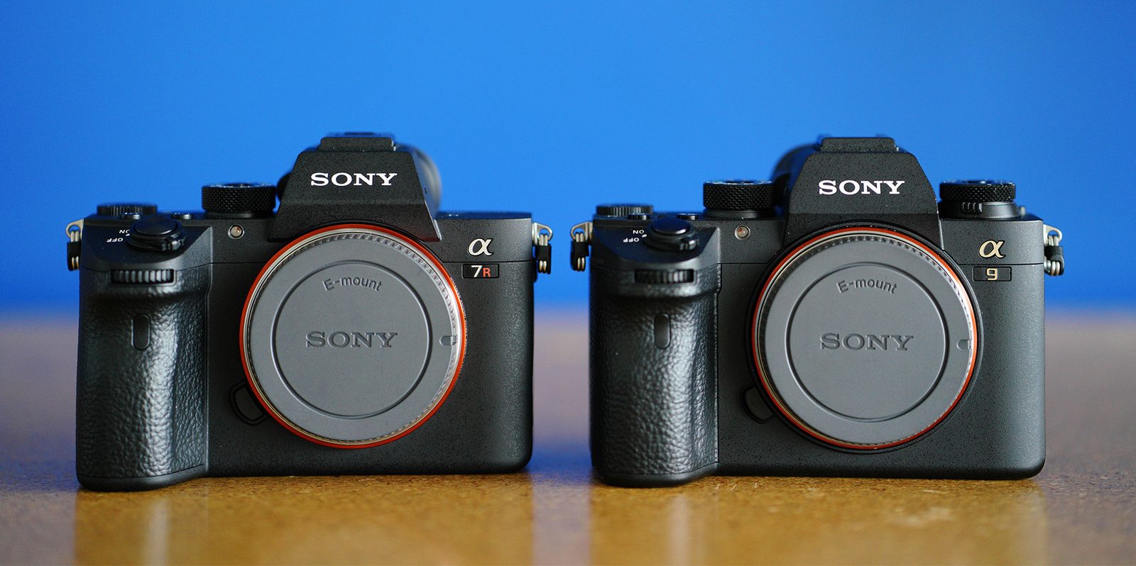 Sony a9 Comparison