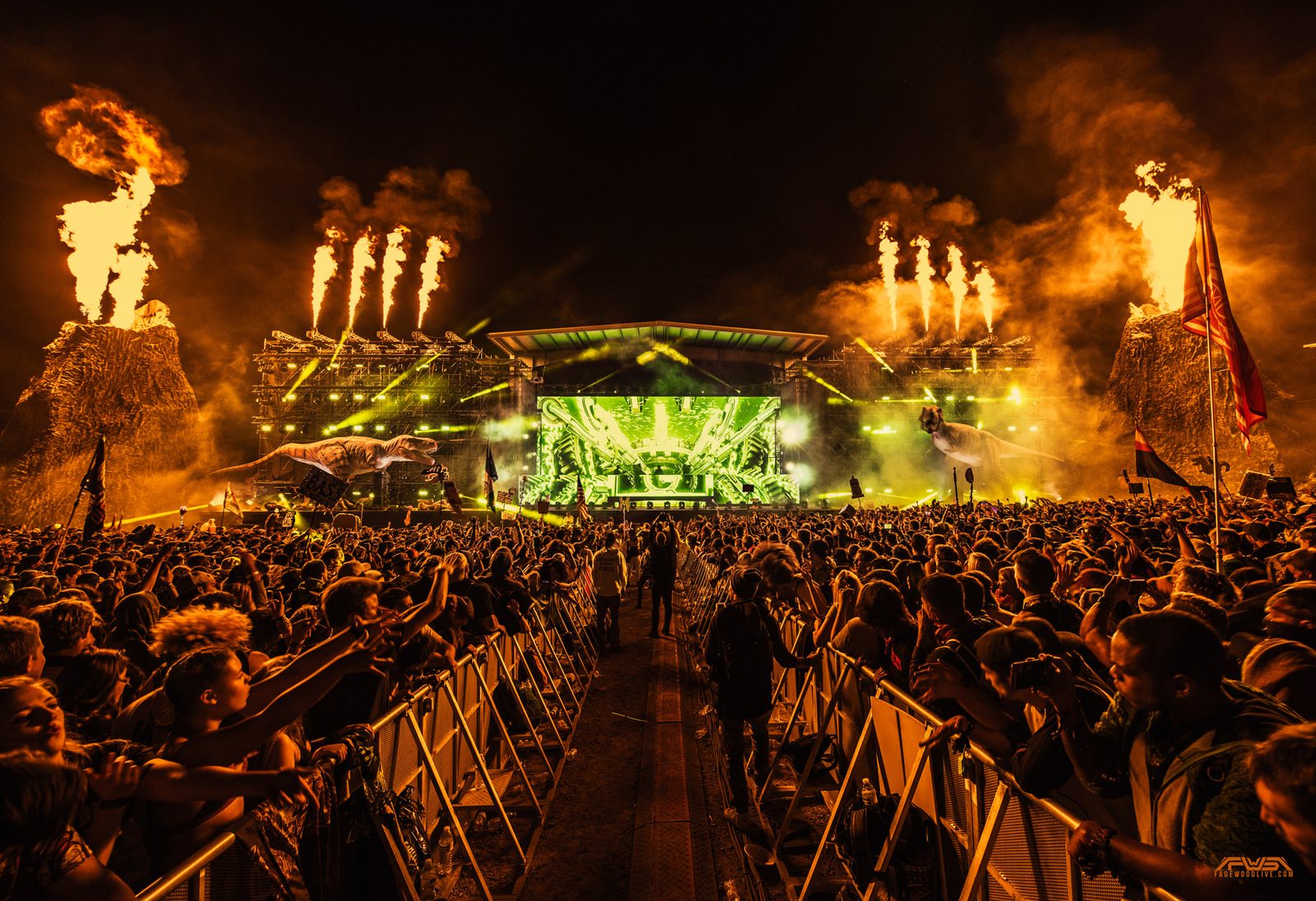 Concert Photography How To
