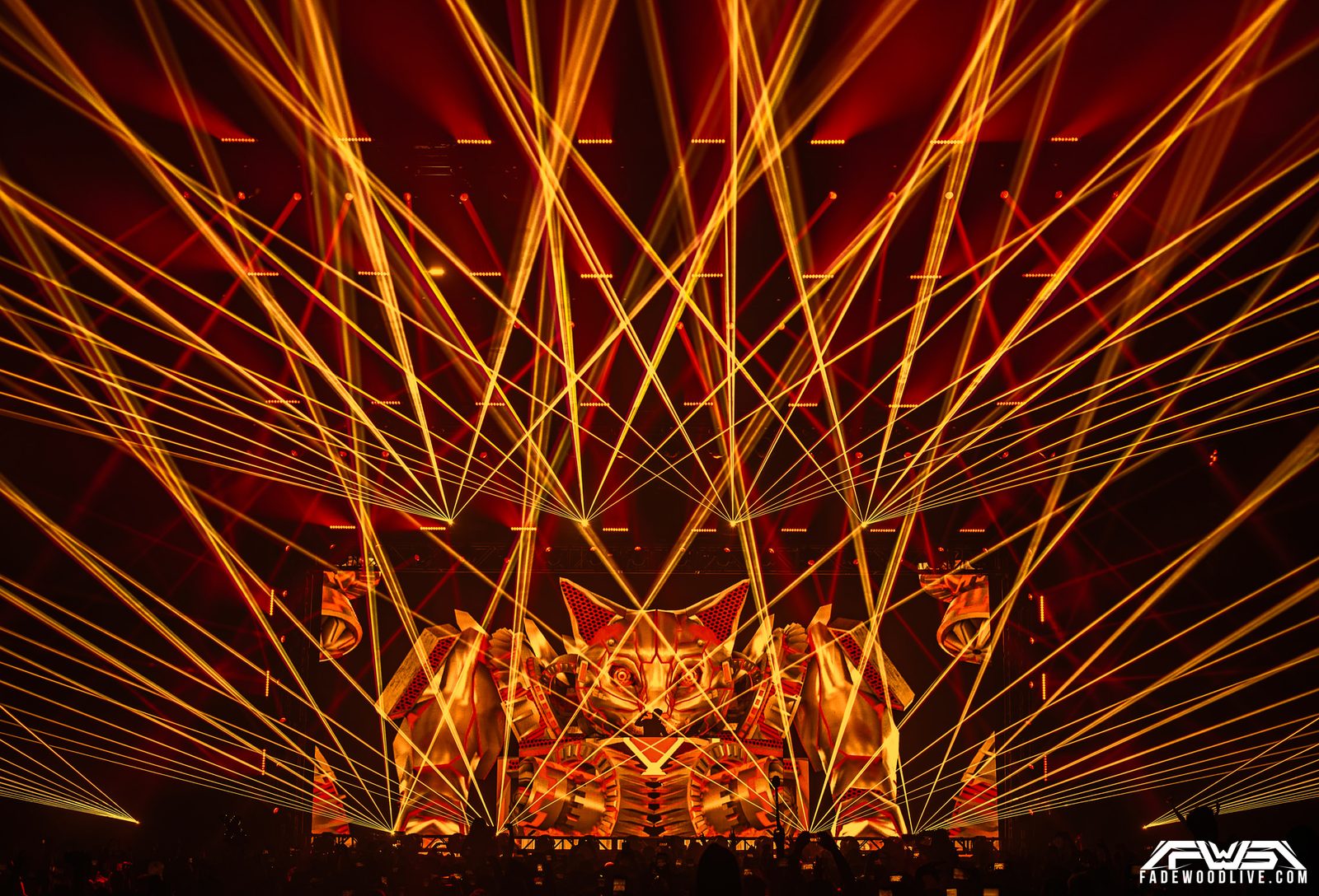 Concert Photography how to
