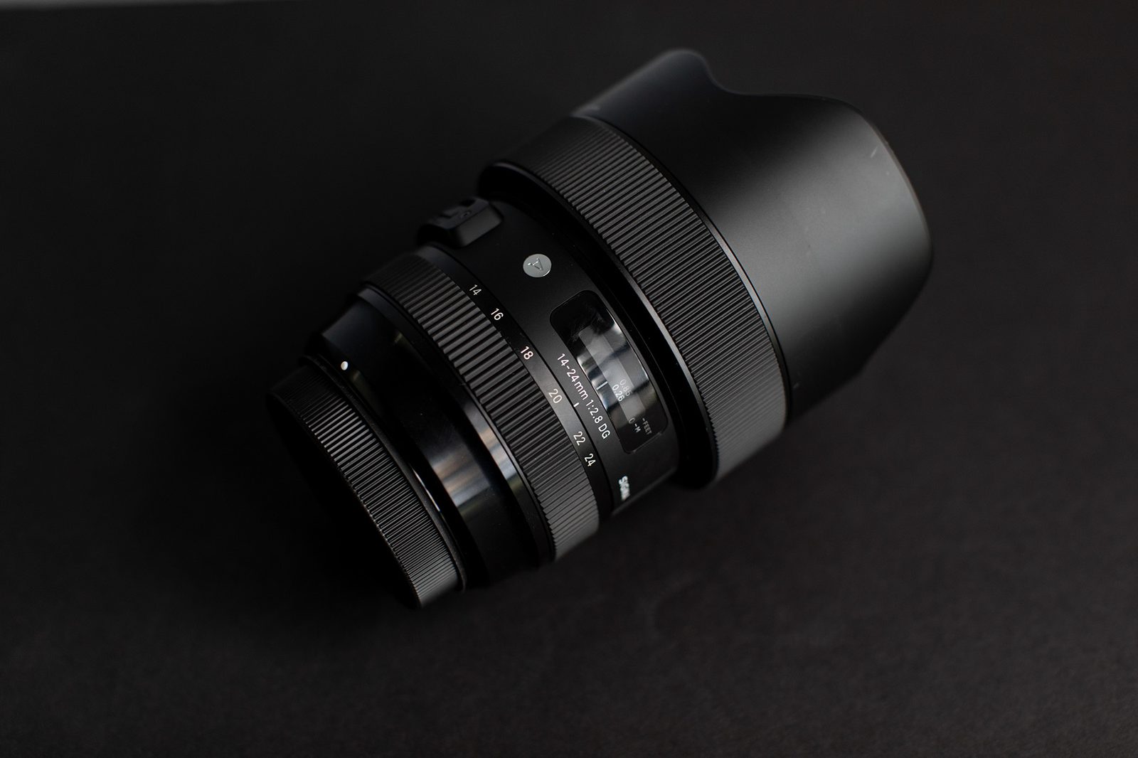 Sigma Art Series 14-24mm