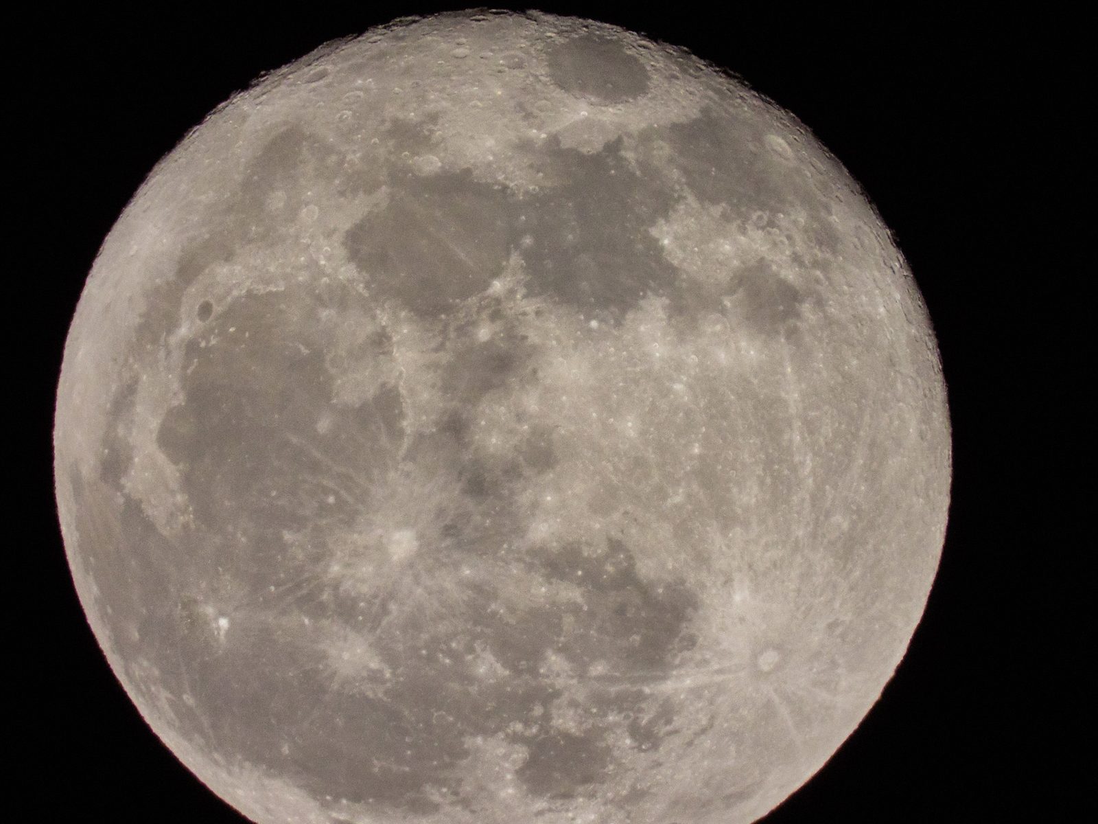 Nikon P1000 Moon Photo