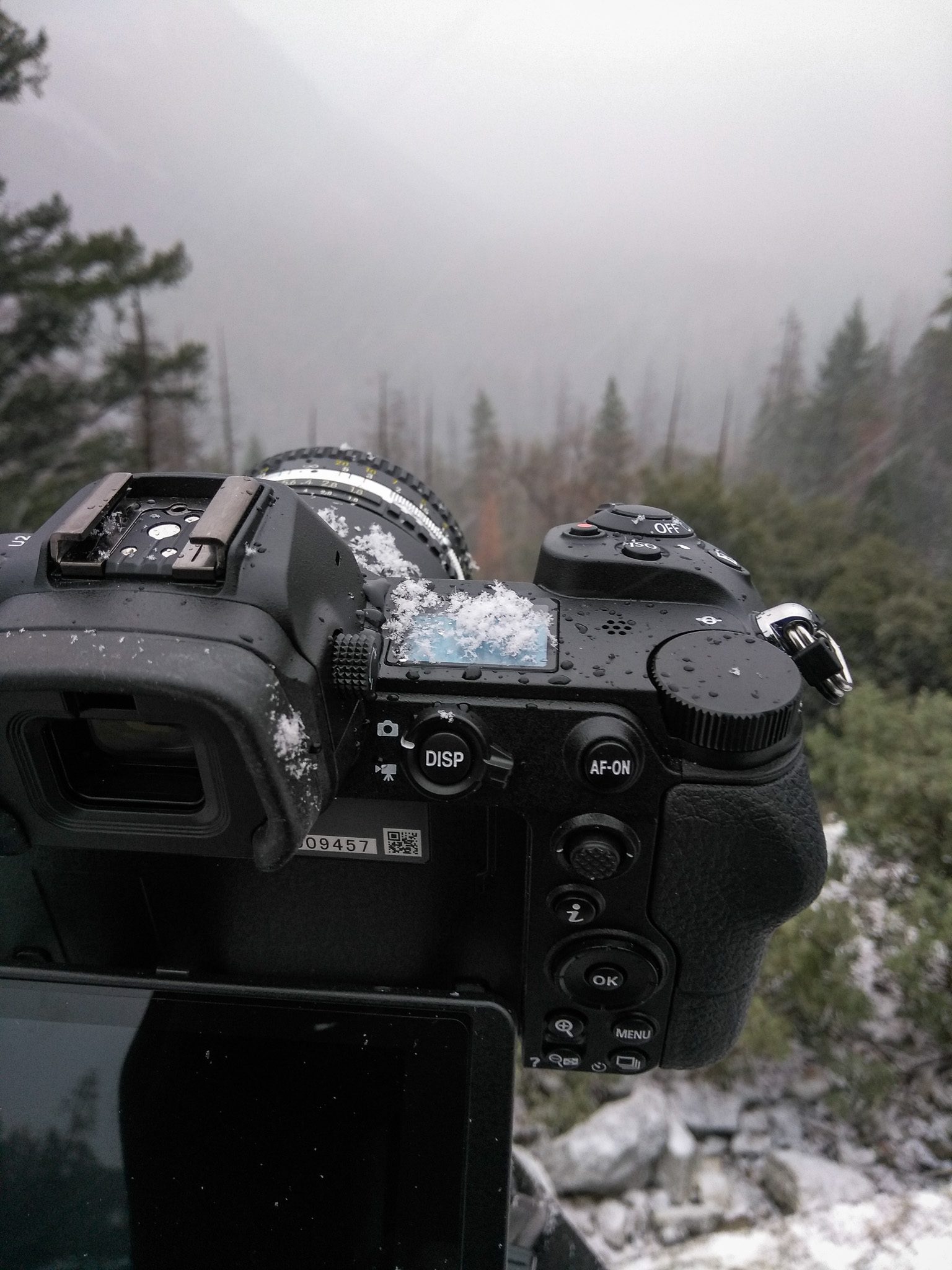 Nikon Z7 Review