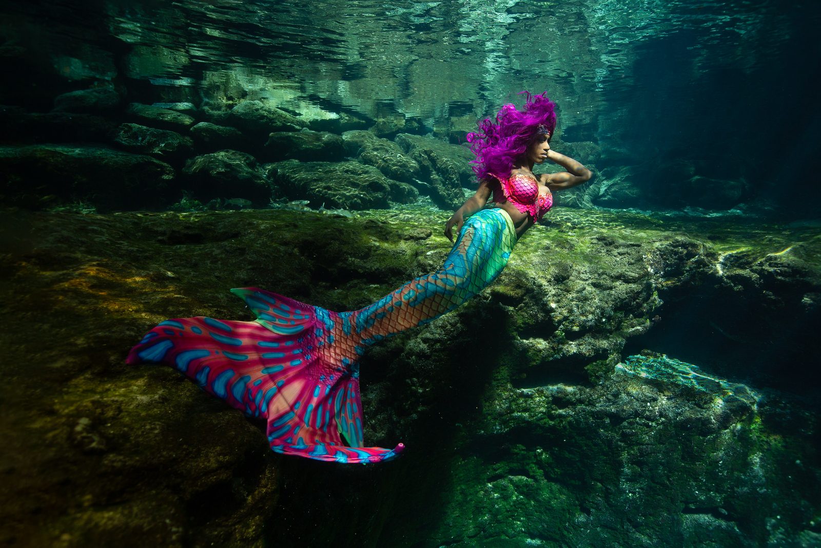 Renting Underwater Photography Housing