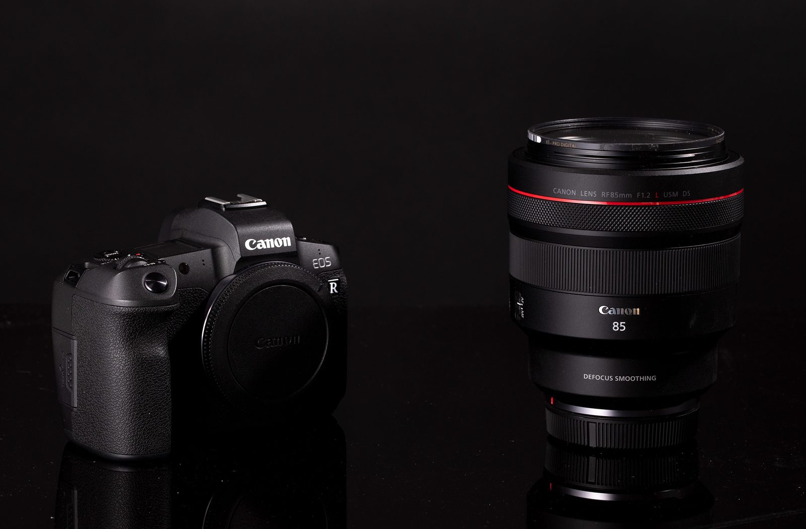 Canon RF 85mm f/1.2L DS Review
