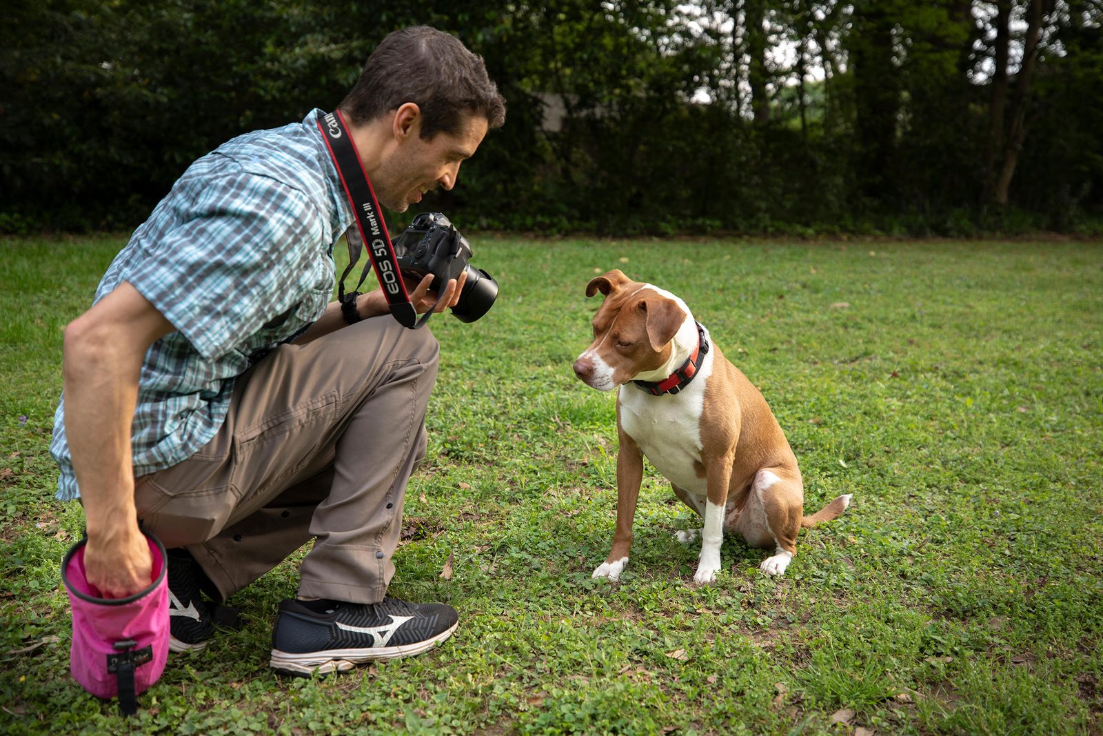 Pet Photography Tutorial