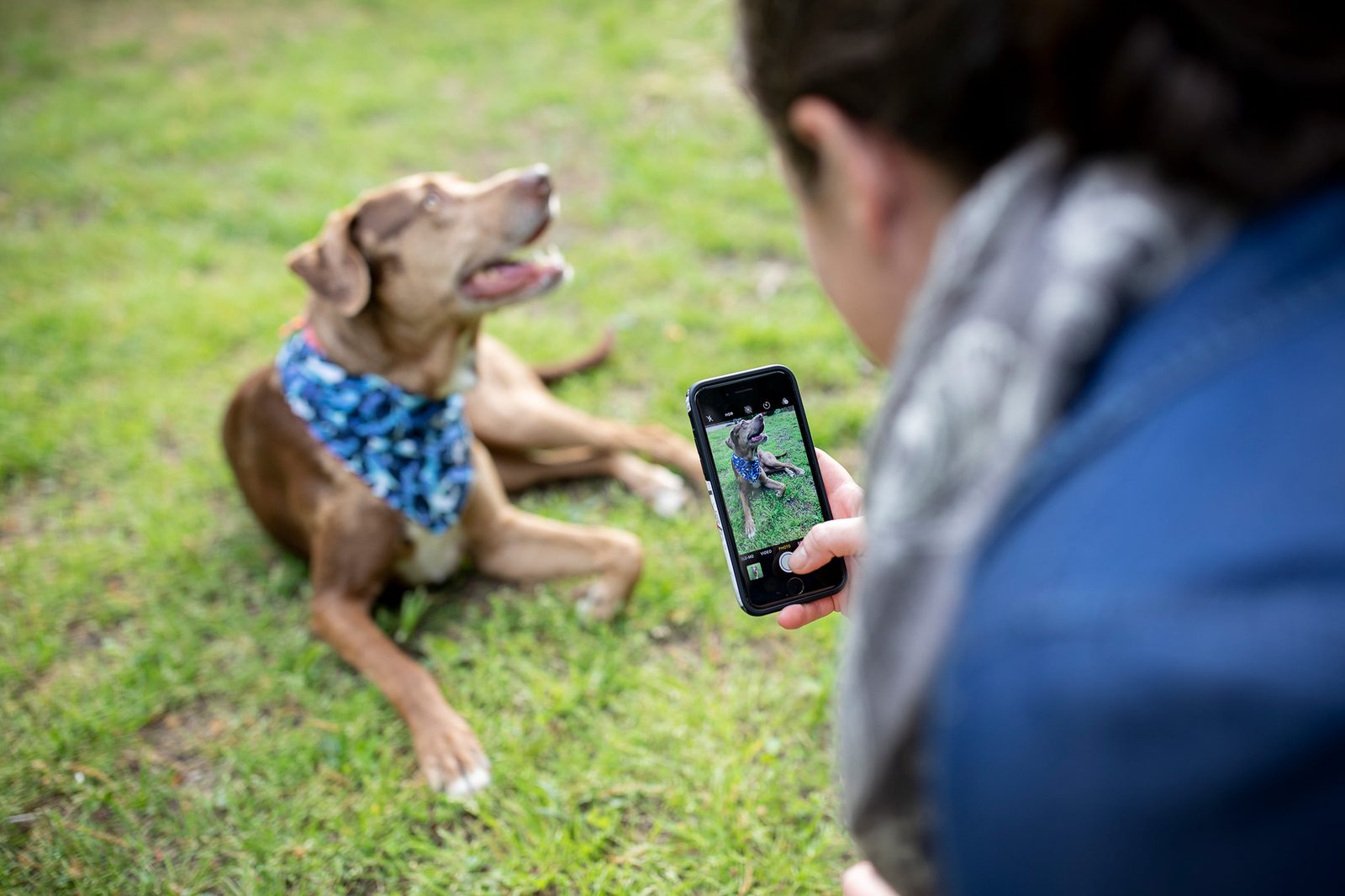 Pet Photography Tutorial