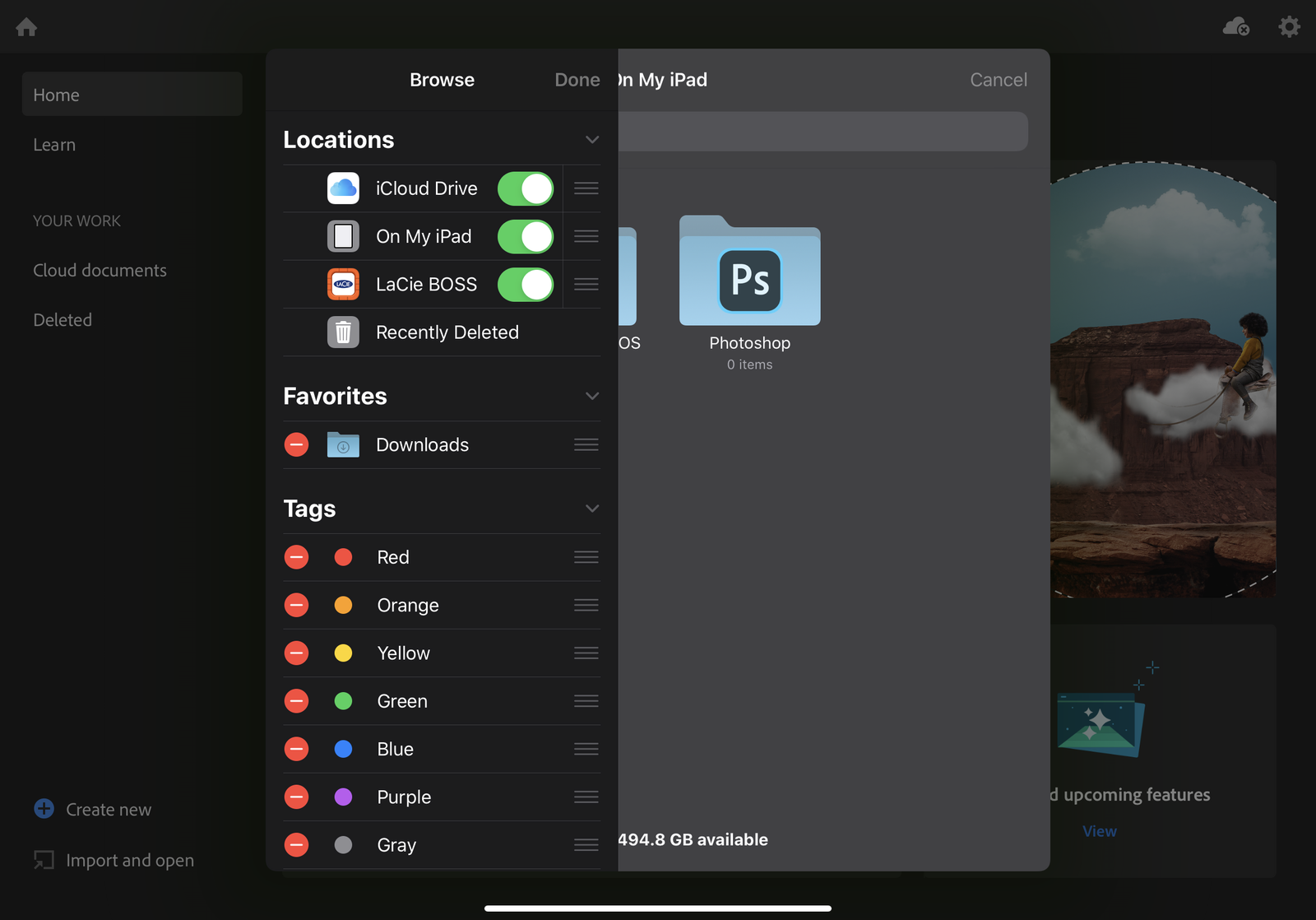 LaCie Mobile Backups on iPad