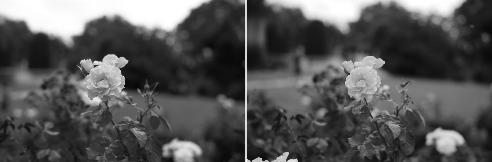 Can You Tell the Difference Between the Leica M10 and Leica M10 Monochrom?