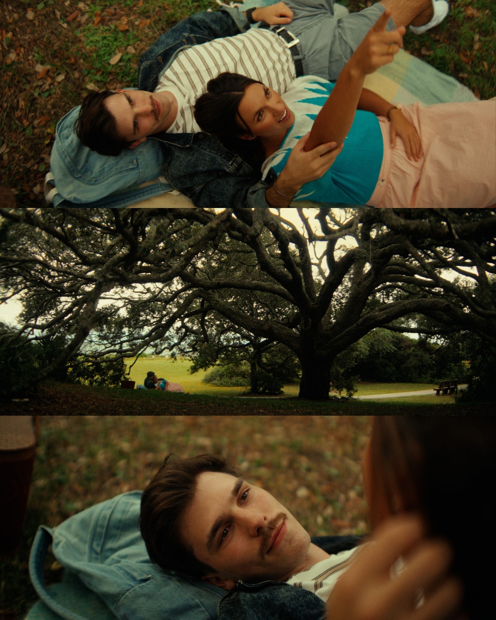 Three film stills of a young couple relaxing on a picnic blanket beneath a sprawling oak tree in a park at golden hour.