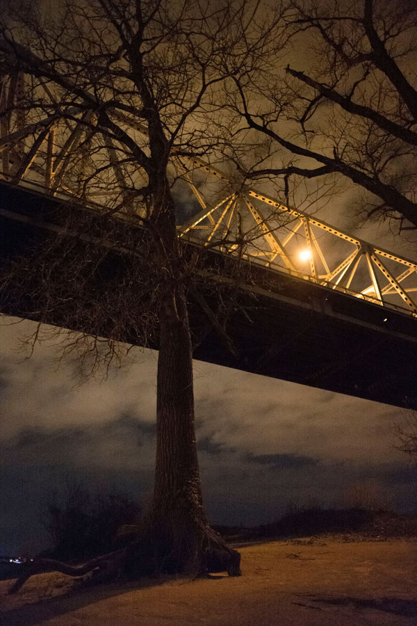 Leica SL: A Hate/Love Story