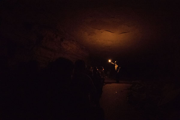 Second time I got the demo, on the Domes and Dripstones tour Nikon D5, 20mm f/1.8G, 1/15, f/1.8, ISO 51200