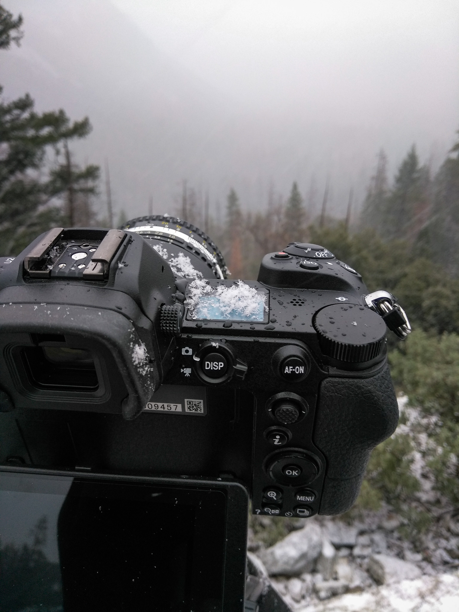 Nikon Z7 Review - Camera Construction and Handling