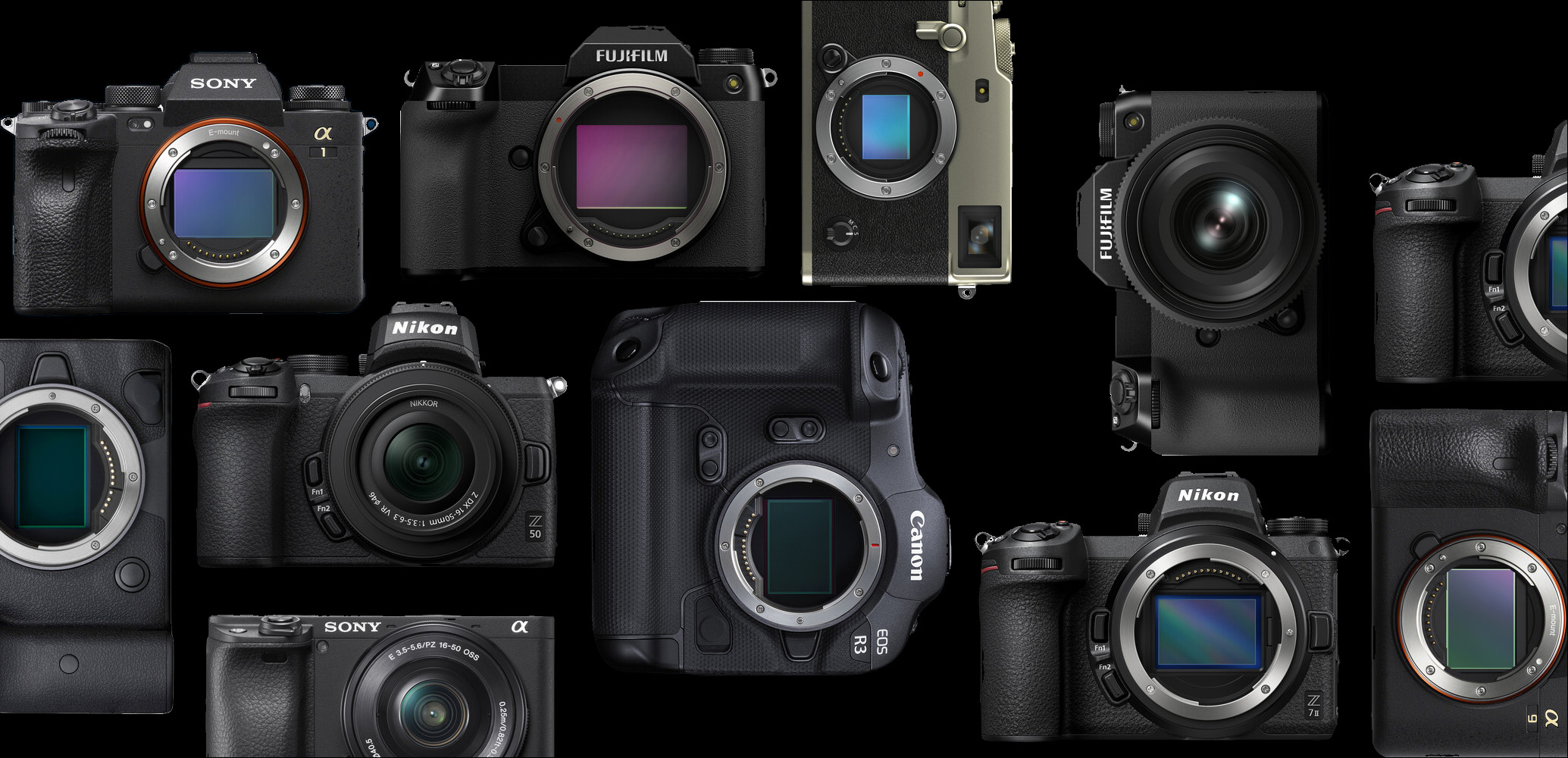 Mirrorless Camera Recommendations