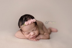 Newborn-Photography-4