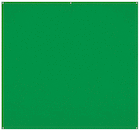8ft x 8ft Chroma-Key Green Background for Westcott X-Drop