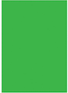 5ft x 7ft Green Screen Background for Westcott X-Drop