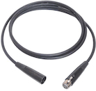 XLR Cable - 25'