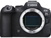 Canon EOS R6 Mark II with EF-EOS R Mount Adapter Kit